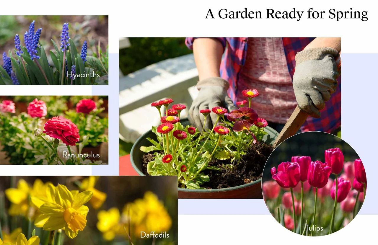 blog-autumn-garden03